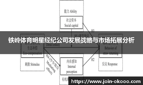 铁岭体育明星经纪公司发展战略与市场拓展分析